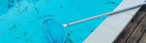 Importancia de mantener limpia el agua de albercas